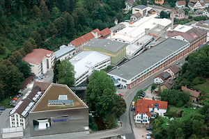 standort_hornberg_244.jpg