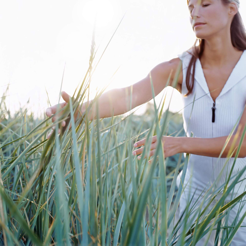 Woman stripes grass with hand
