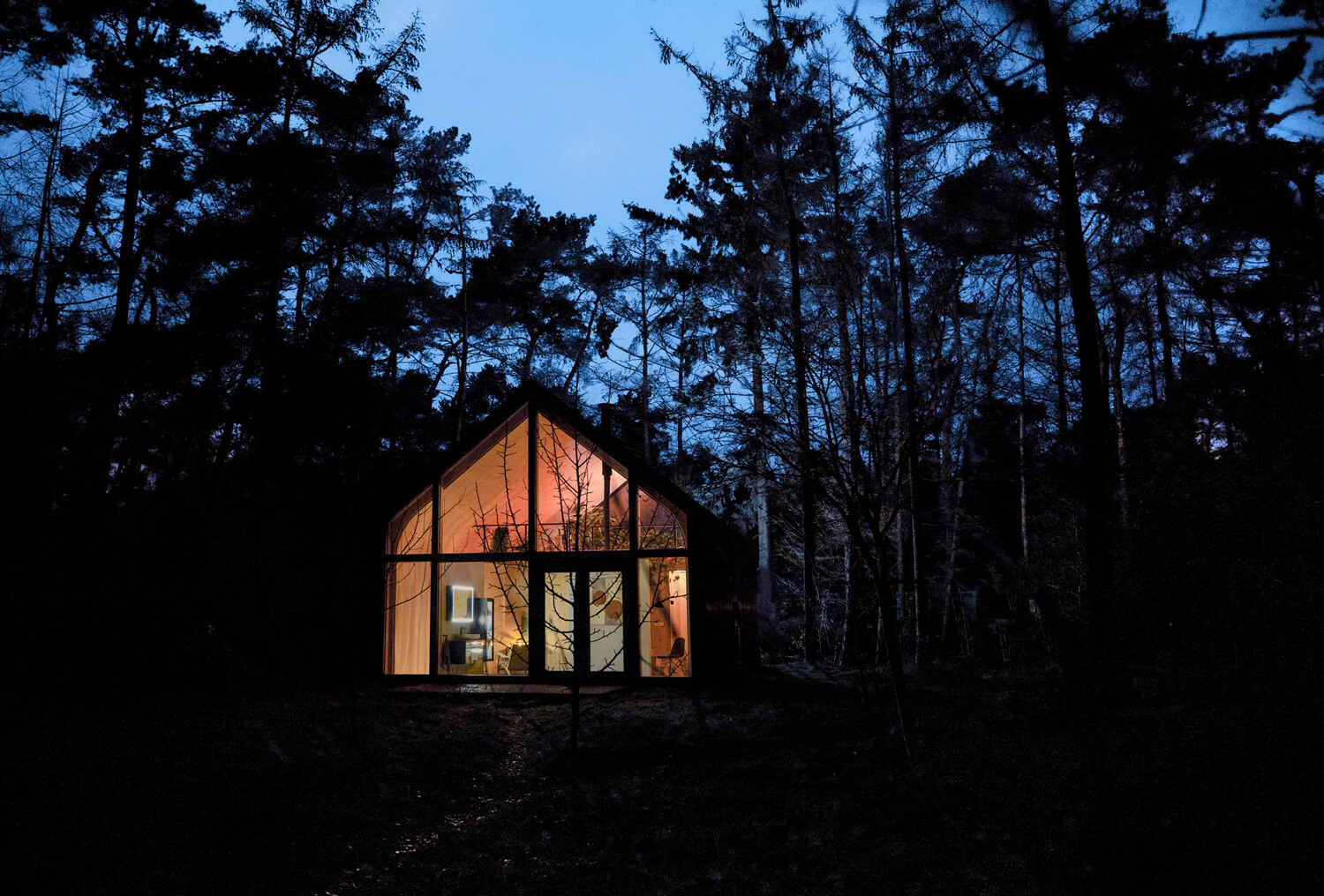 Cosy house in the forest
