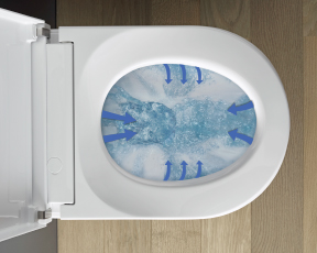 Rimless flushing from the top
