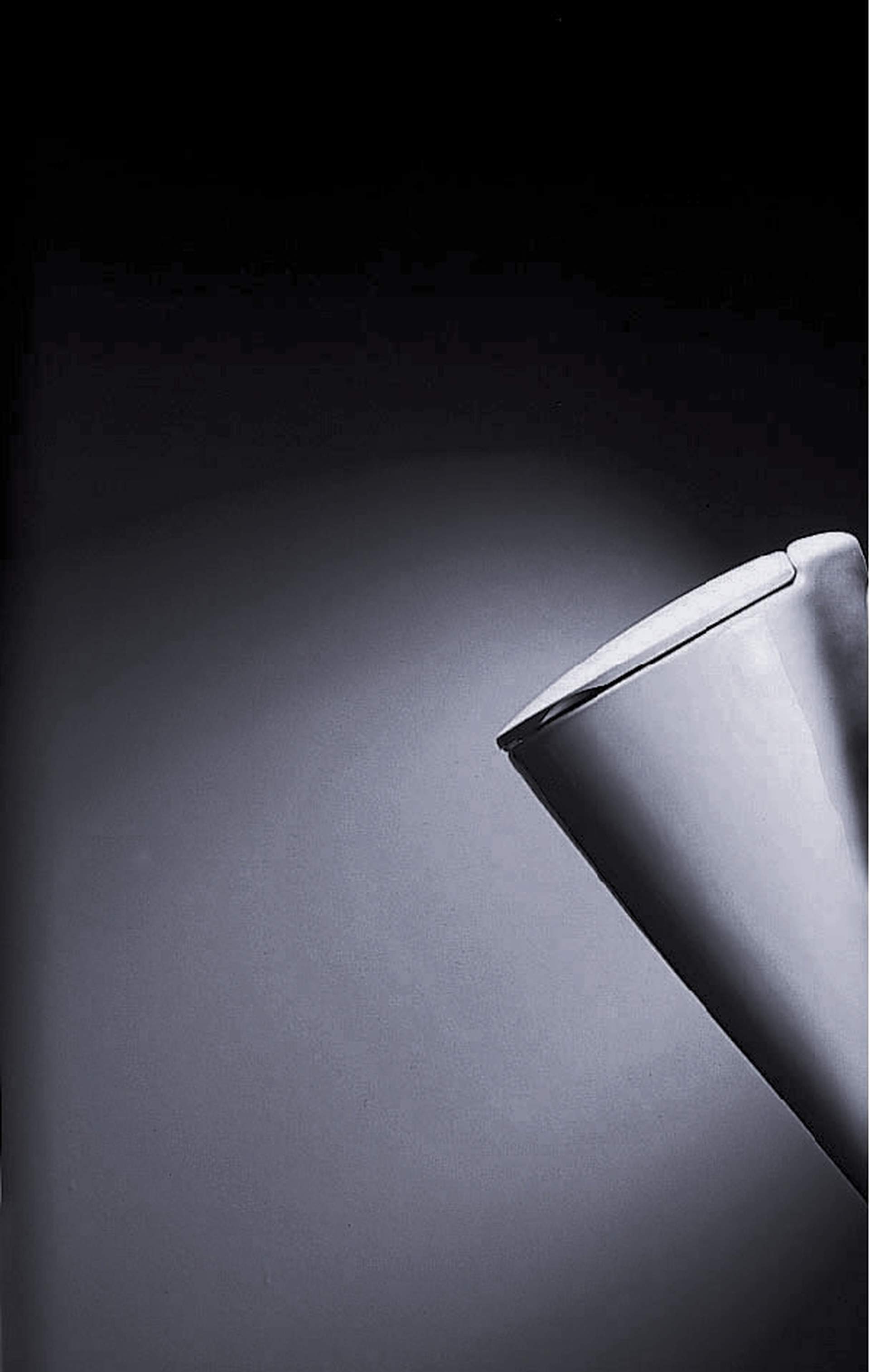 Barrier-free bathroom with height toilet
